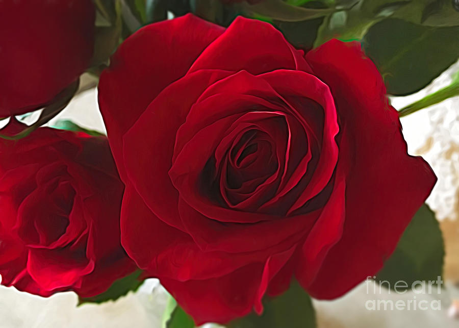 Valentines Day Photograph - Regal Red Rose by Luther Fine Art
