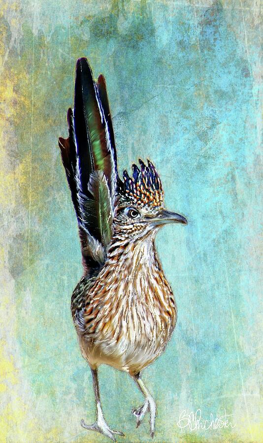 Regal Roadrunner Tail Up Mixed Media by Barbara Chichester