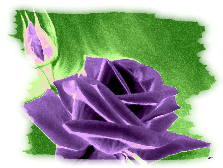 Rose Digital Art - Regal Rose by Will Borden