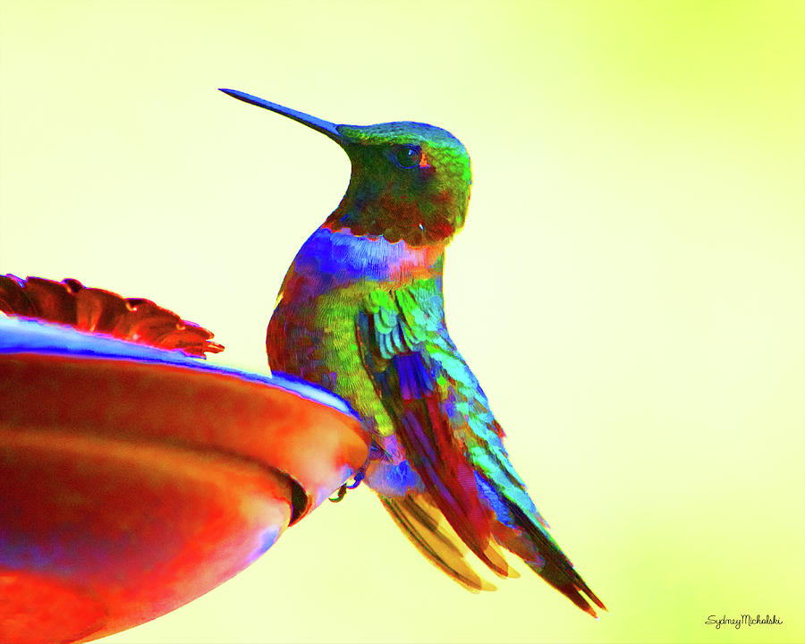 Bird Photograph - Regal by Sydney Michalski