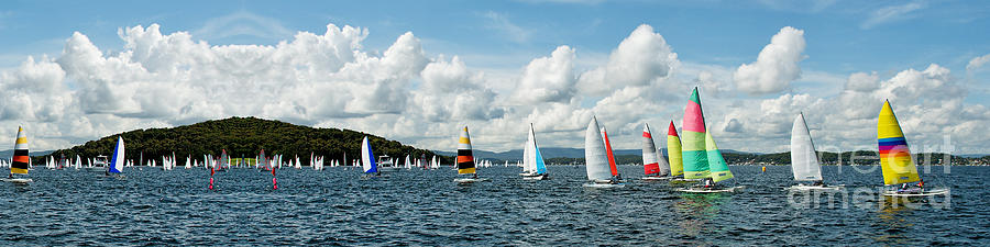 Regatta Panorama. Children Sailing small sailboats, Catamarans,  with colourful sails. Australia. Commercial use image. Photograph by Geoff Childs