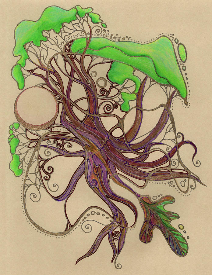 Regenerating Roots Drawing by Katherine Nutt