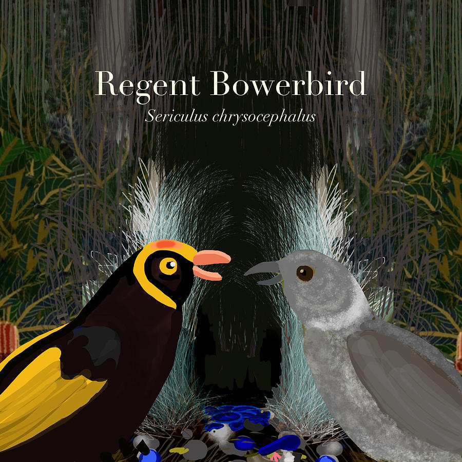 Regent Bowerbird pair Digital Art by Donna Huntriss