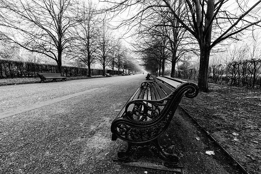 Regents Park The Broad Walk Photograph by Mark Kiver