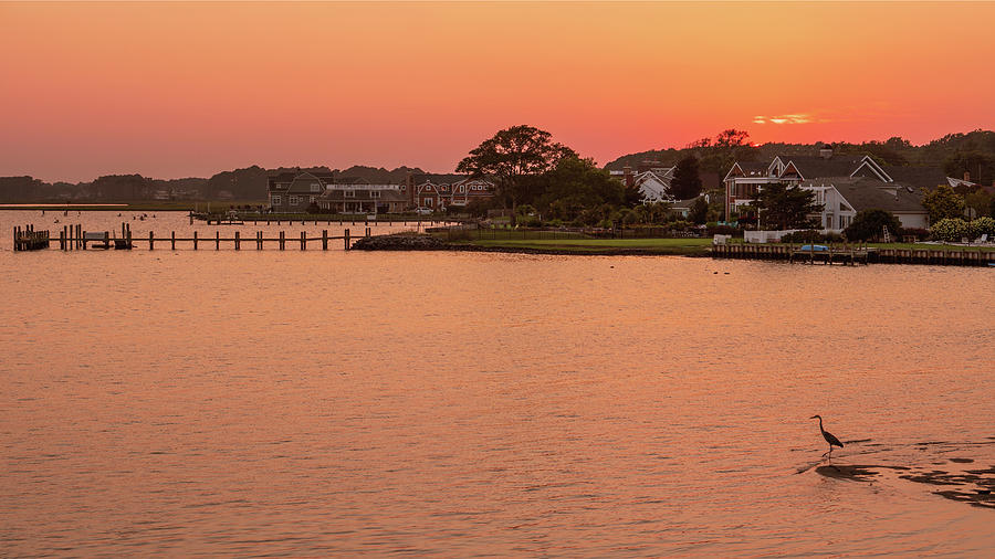 Rehoboth Bay Sunset with a Heron Photograph by Jason Fink
