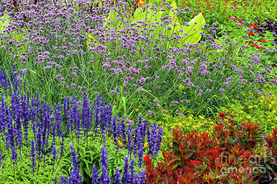 Reiman Gardens Color Photograph by Bob Phillips