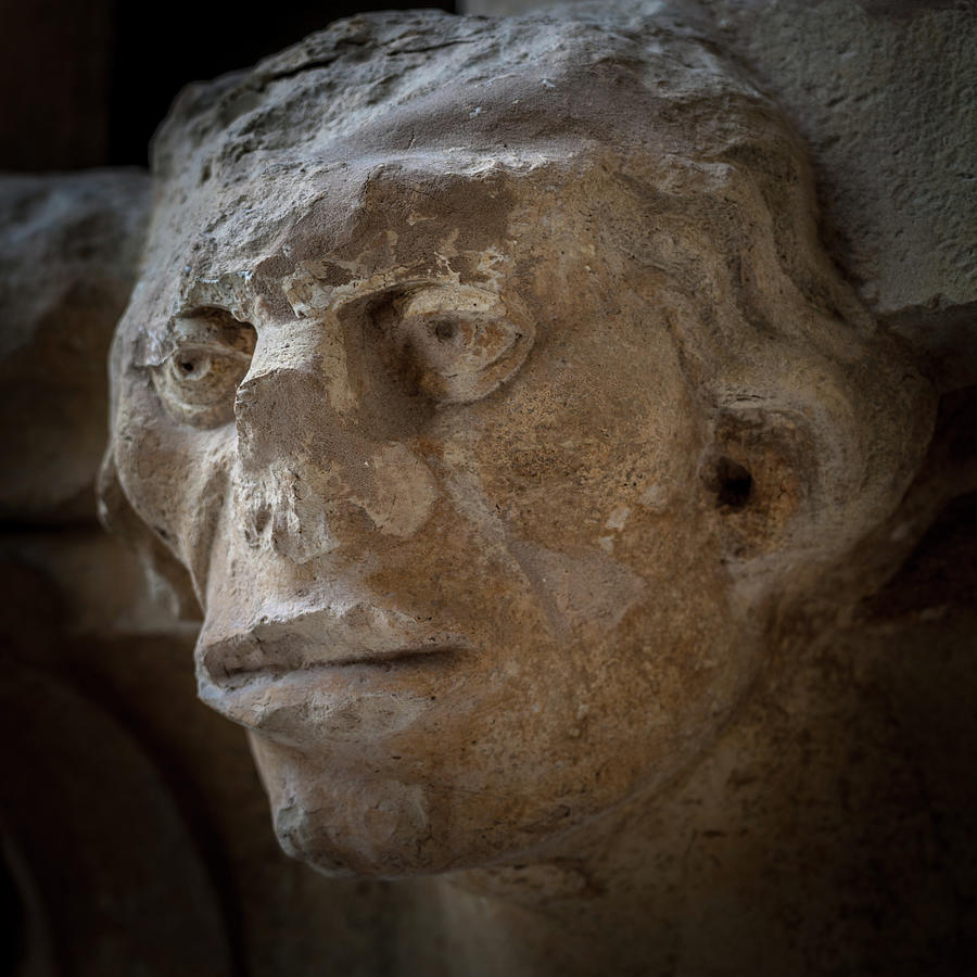 Reims Grotesque 1 Photograph by W Chris Fooshee