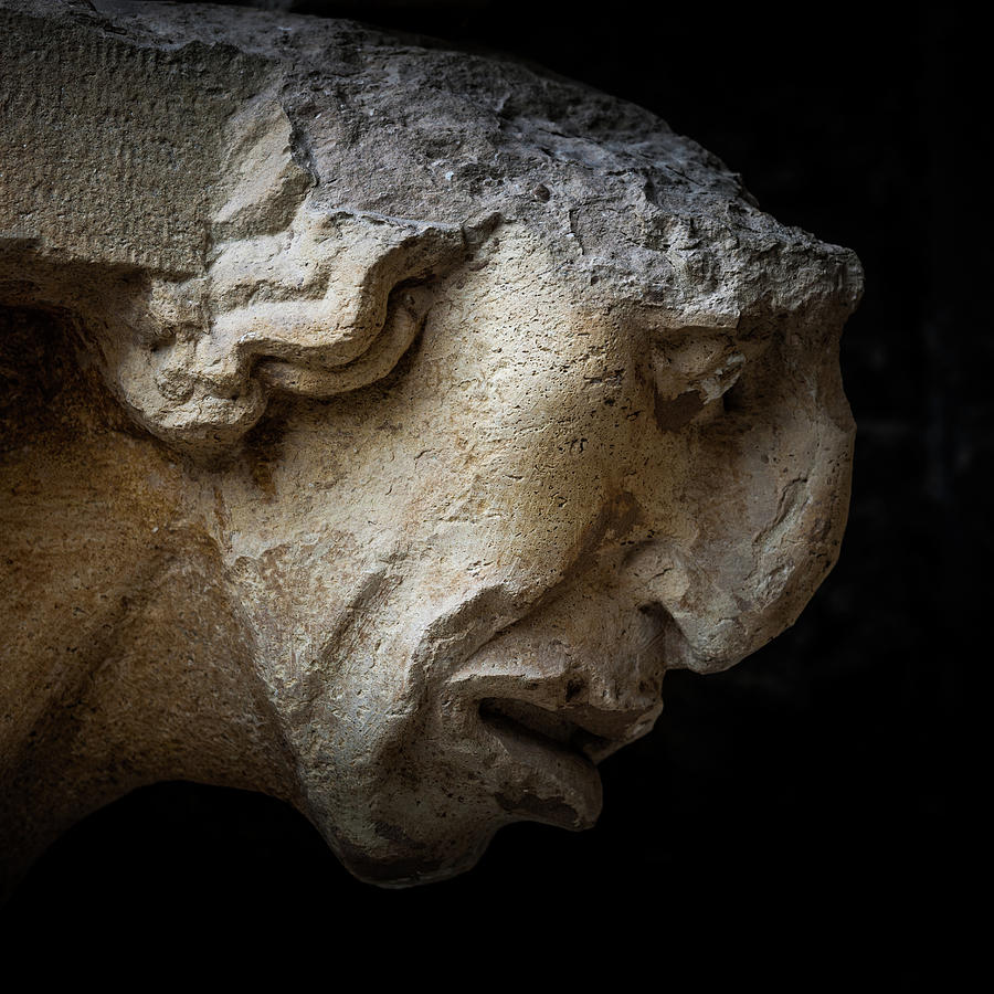 Reims Grotesque 2 Photograph by W Chris Fooshee