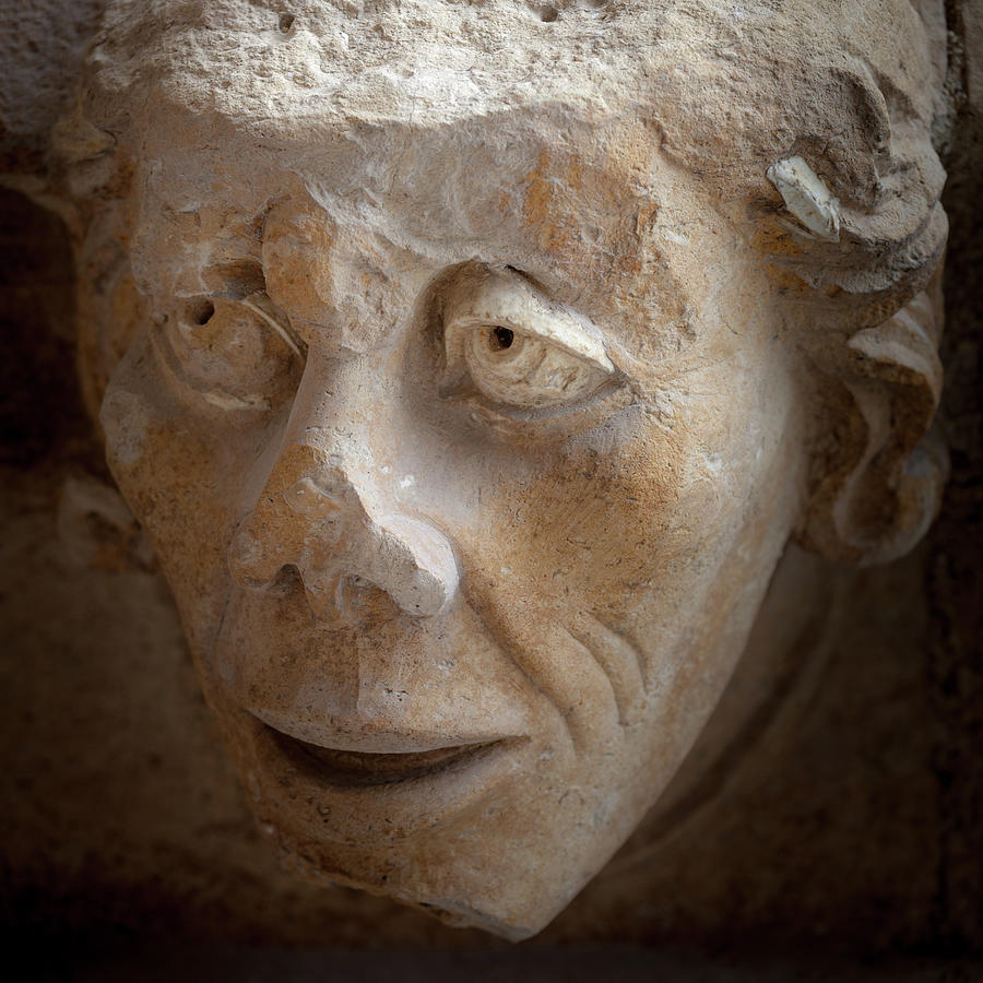 Reims Grotesque 4 Photograph by W Chris Fooshee