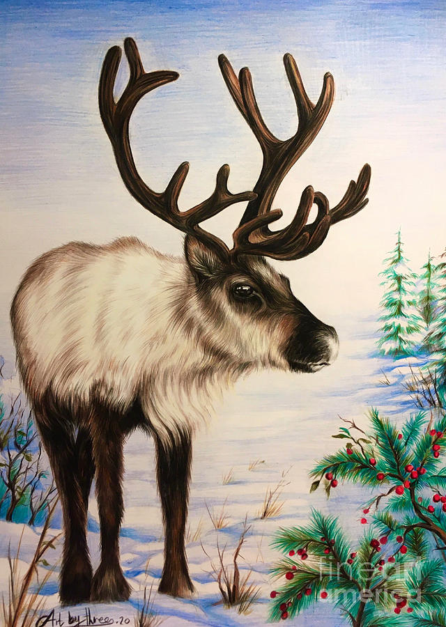 Reindeer Drawing by Art By Three Sarah Rebekah Rachel White | Fine Art ...