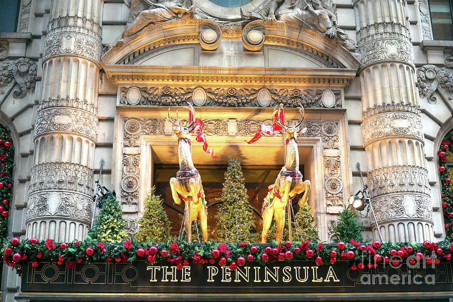 Reindeer on the Peninsula Hotel New York City Photograph by John Rizzuto