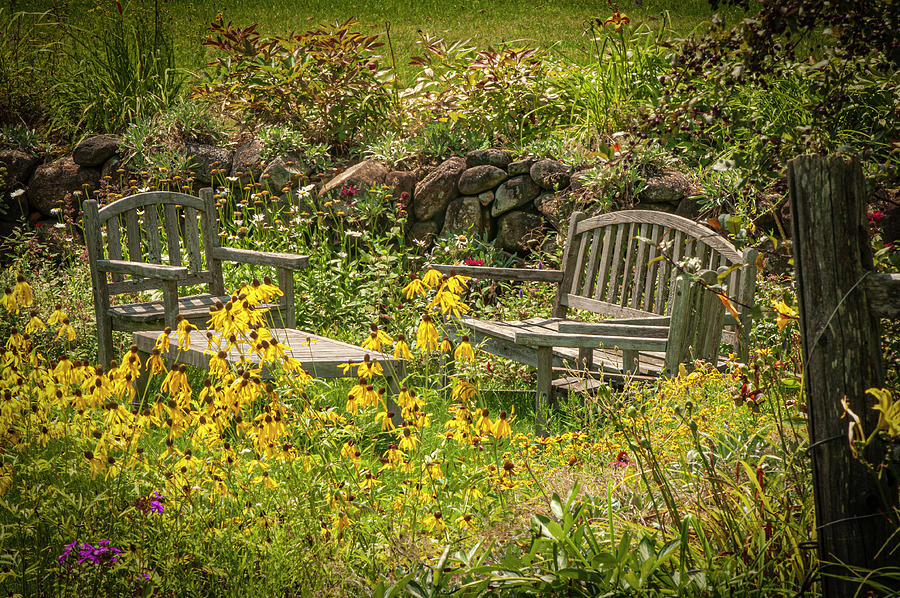 Relax Among the Wildflowers Photograph by Paul Mangold