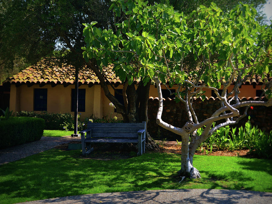 Relaxing At The Old Mission - Solvang Photograph by Glenn McCarthy Art and Photography