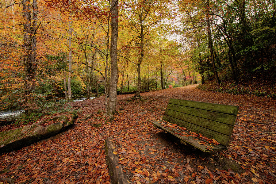 Relaxing Autumn Photograph by Robert J Wagner