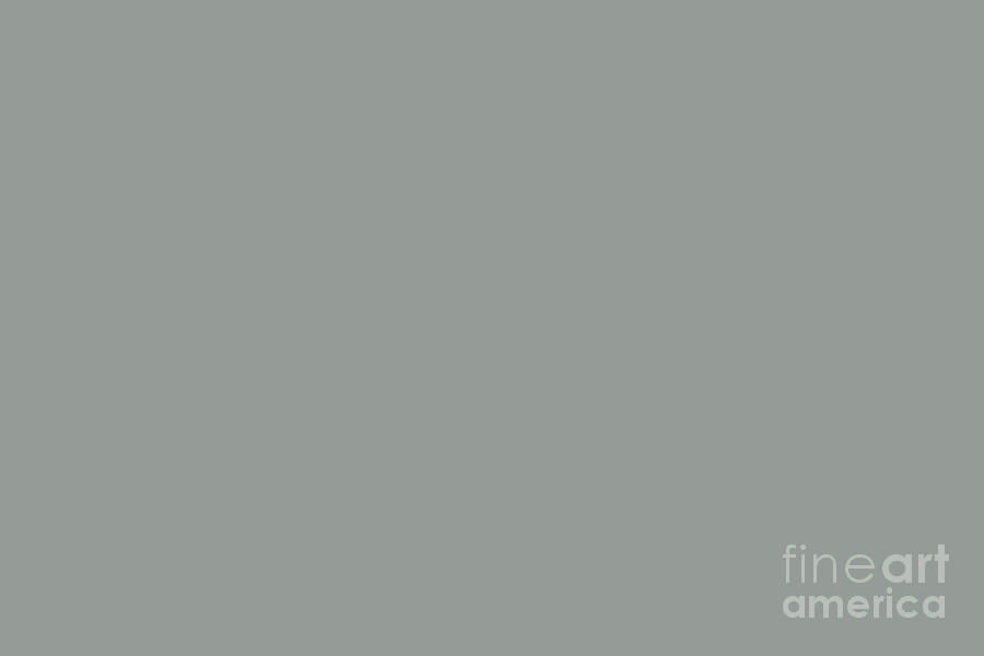 Relaxing Gray Solid Color - Hue - Shade- Colour Pairs To Sherwin Williams Earl Grey SW 7660 Digital Art by PIPA Fine Art - Simply Solid