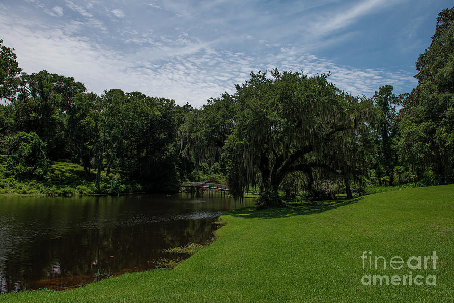 Relaxing Lake View - Middleton Place Photograph