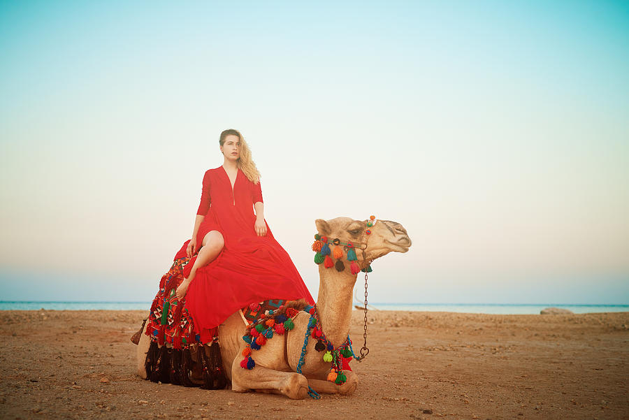 Relaxing On Camel Ride Photograph by Stock_colors