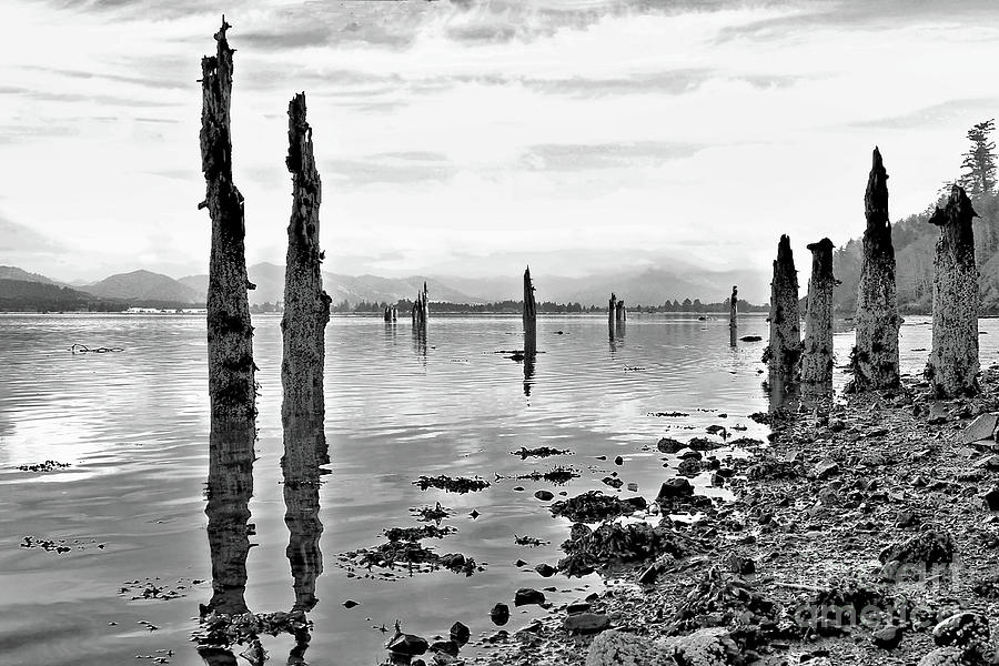 Black And White Photograph - Relics - Tillamook Oregon by Jack Andreasen