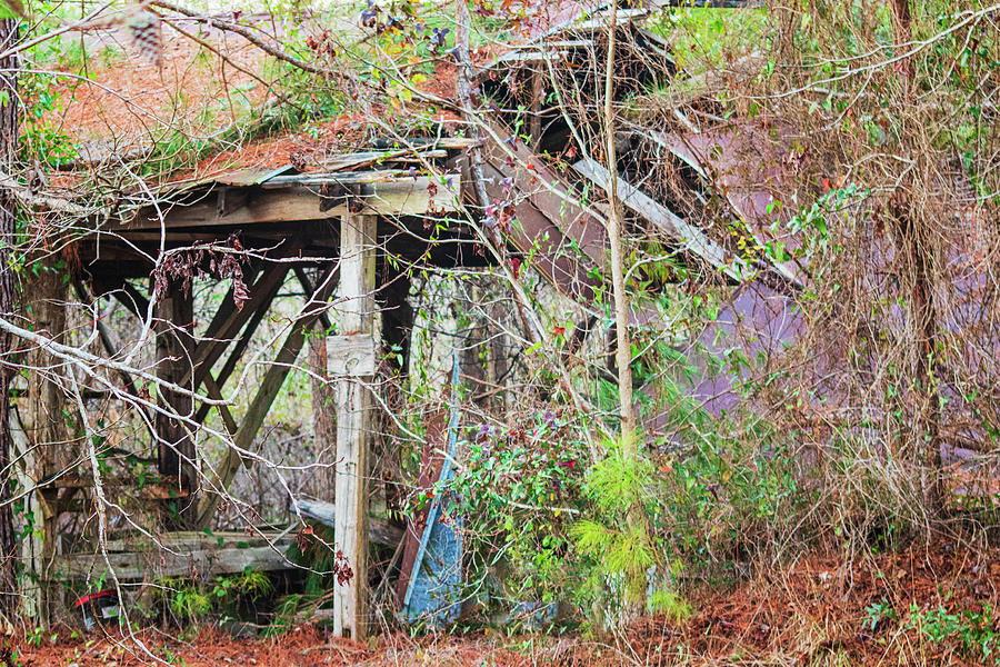 Remains of an Old Sawmill - Millcreek, NC Photograph by Bob Decker