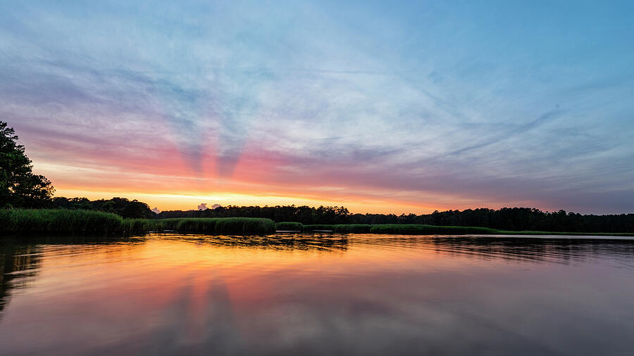 Remains of the Day Photograph by David Fountain
