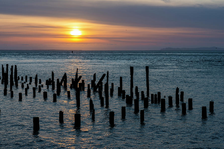 Astoria Photograph - Remains of the Day Silhouettes by Robert Potts Astoria Photograph - Remains of the Day Silhouettes by Robert Potts
