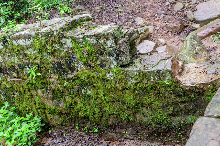 remains-of-the-stone-walled-reservoir-of-a-19th-century-hotel-on