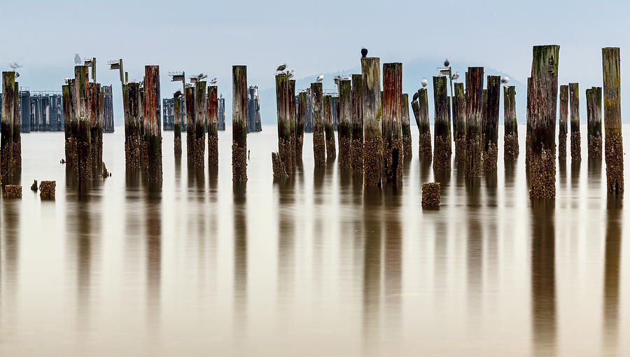 Remantents of Old Fish Cannery Dock  Photograph by Tony Locke