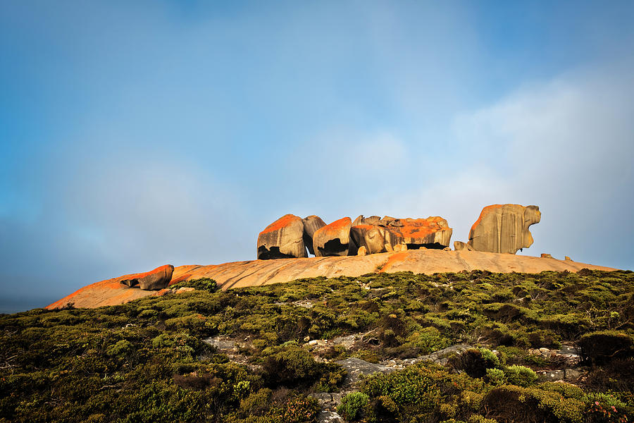 Remarkable Rocks 2 Photograph by Catherine Reading