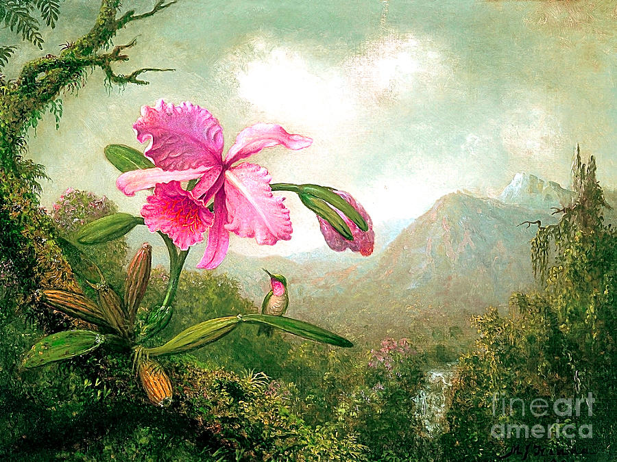 Remastered Art Orchid And Hummingbird Near Waterfall by Martin Johnson Heade 20220207 Painting by - Martin Johnson Heade