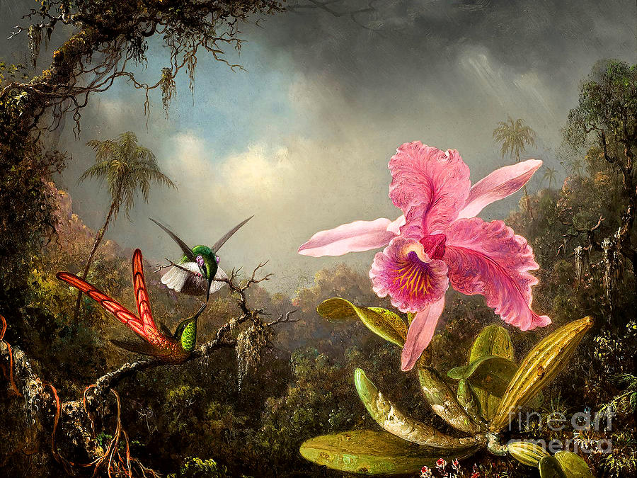 Remastered Art Orchid With Two Hummingbirds by Martin Johnson Heade 20220207 Painting by - Martin Johnson Heade