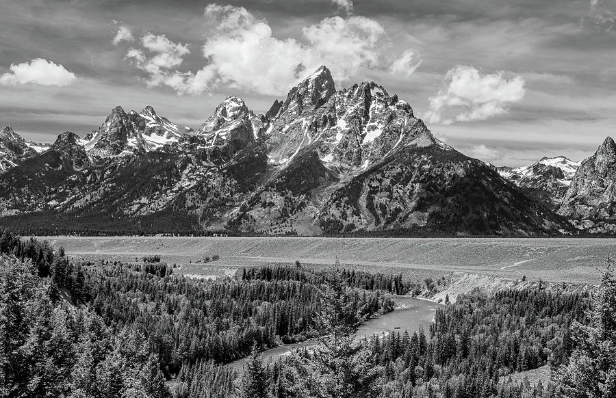 Remembering Ansel Adams, Black and White Photograph by Marcy Wielfaert