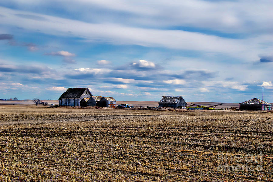 Farm Photograph - Remembering Our Roots At The Family Farm by Al Bourassa