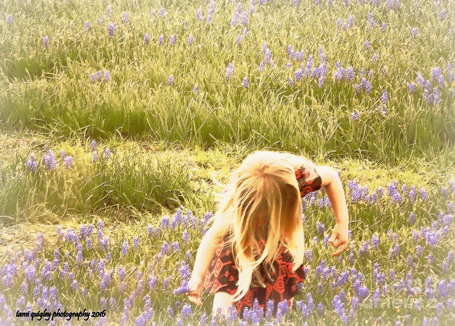 Remembering Where The Bluebells Bloom Photograph