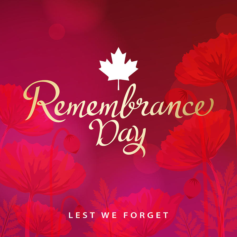Remembrance Day Canada Drawing by Exxorian