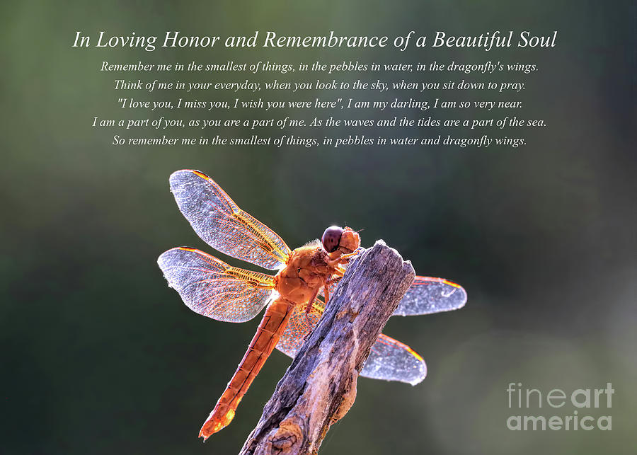 Remembrance Dragonfly Spiritual Poem for a Beautiful Soul Photograph by Stephanie Laird