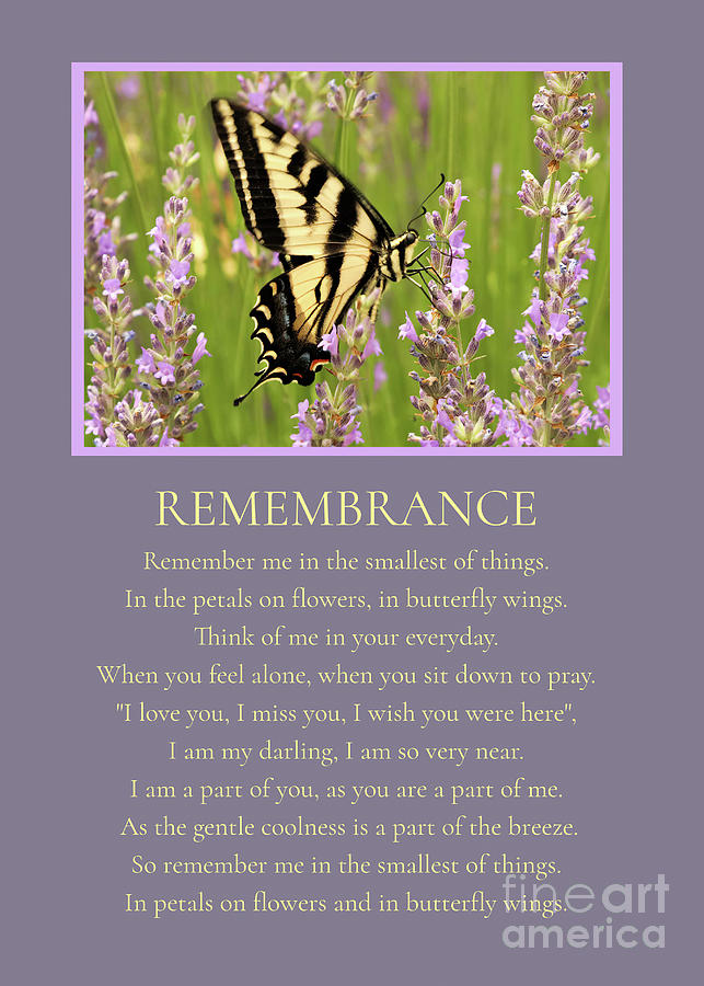Remembrance Spiritual Sympathy Poem with Butterfly and Flowers Photograph by Stephanie Laird
