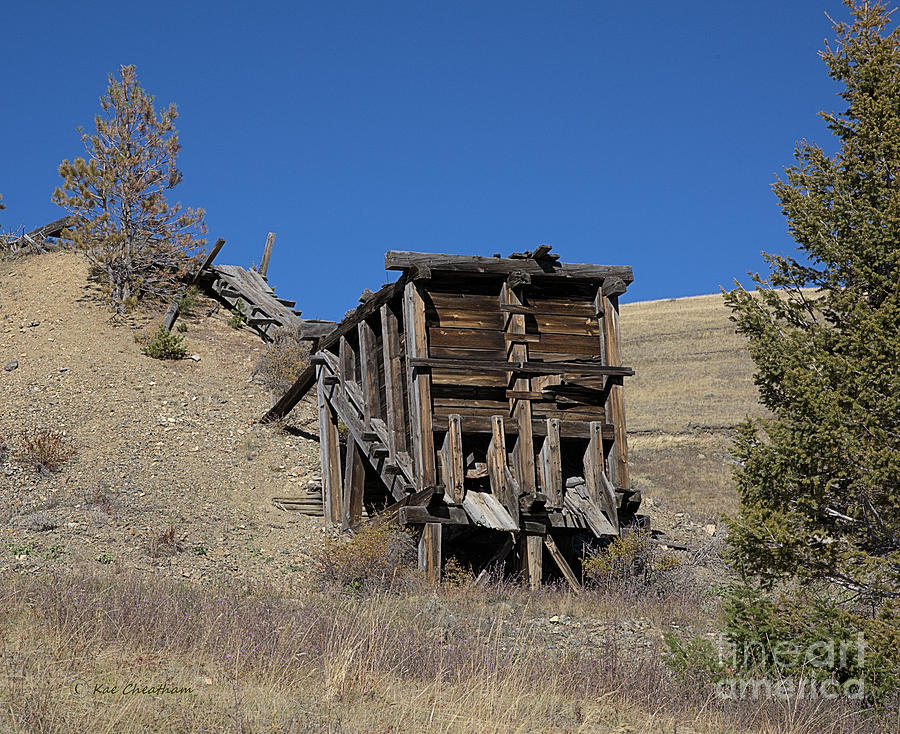 Tree Photograph - Remnant Mining Structure by Kae Cheatham