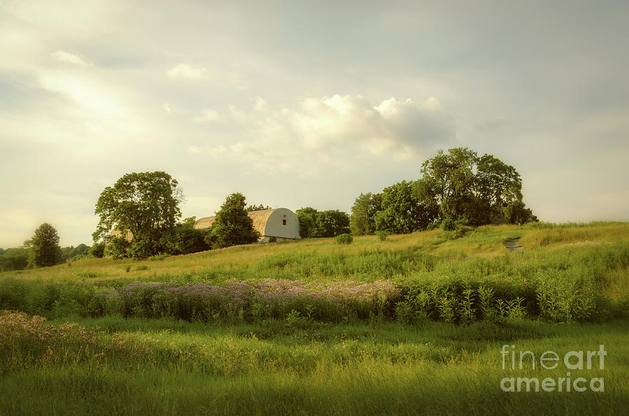 Remnant of Better Days Rural Nature / Landscape Photograph Photograph by PIPA Fine Art - Simply Solid