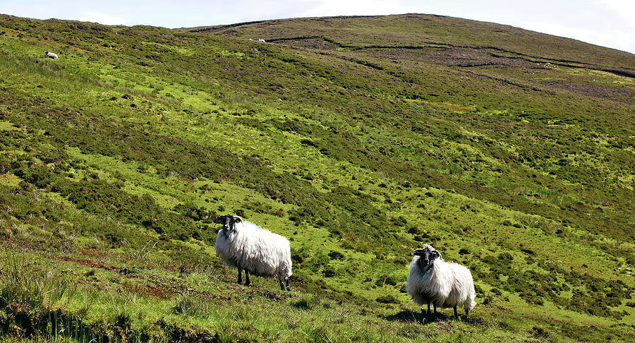 Remote Hills - County Donegal Photograph by Lexa Harpell