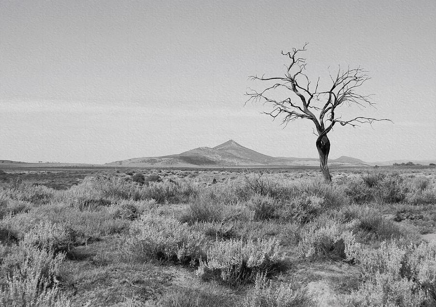 Remoteness in B W Photograph by Louise Merigot