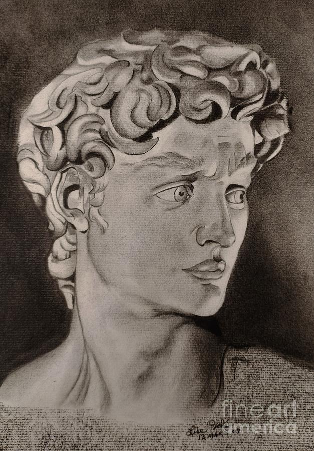 Renaissance Man Drawing by Lise PICHE - Fine Art America