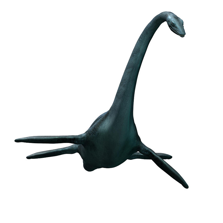 the largest sea dinosaur