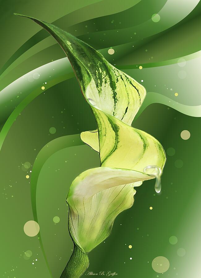 Flowers Still Life Photograph - Renewal - Calla Leaf in Spring by Allison Griffin