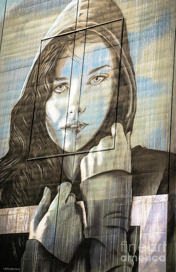 Reno Mural Photograph by Veronica Batterson