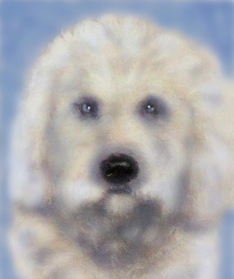 Dog Photograph - Renoirs Dog by Angela Davies