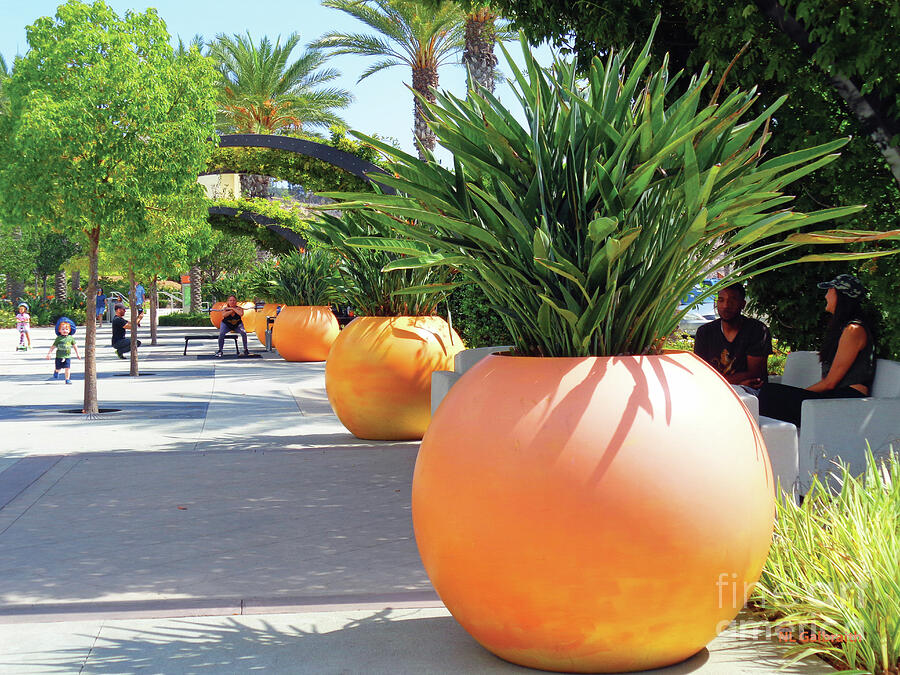 Landscape Photograph - Repeating Orange Planter Pots by NL Galbraith