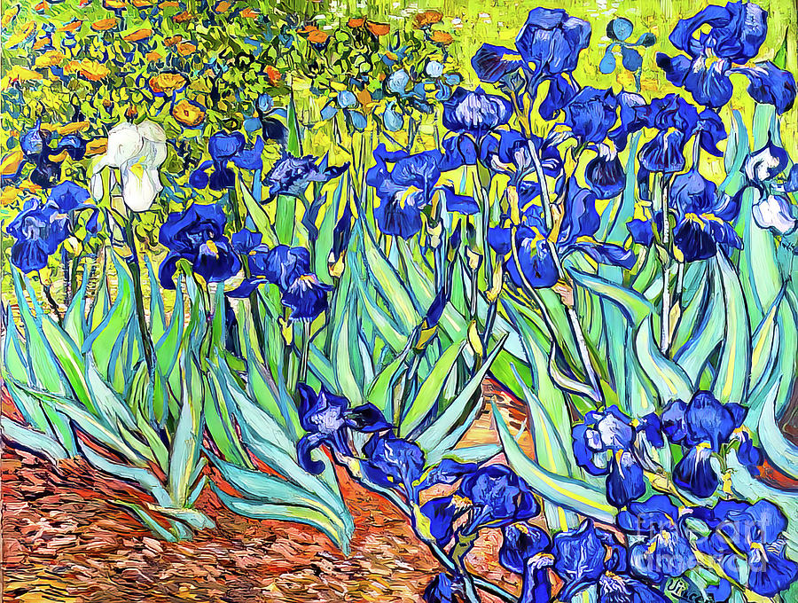 Replace Irises by Vincent Van Gogh 1889 Painting by Vincent Van Gogh ...