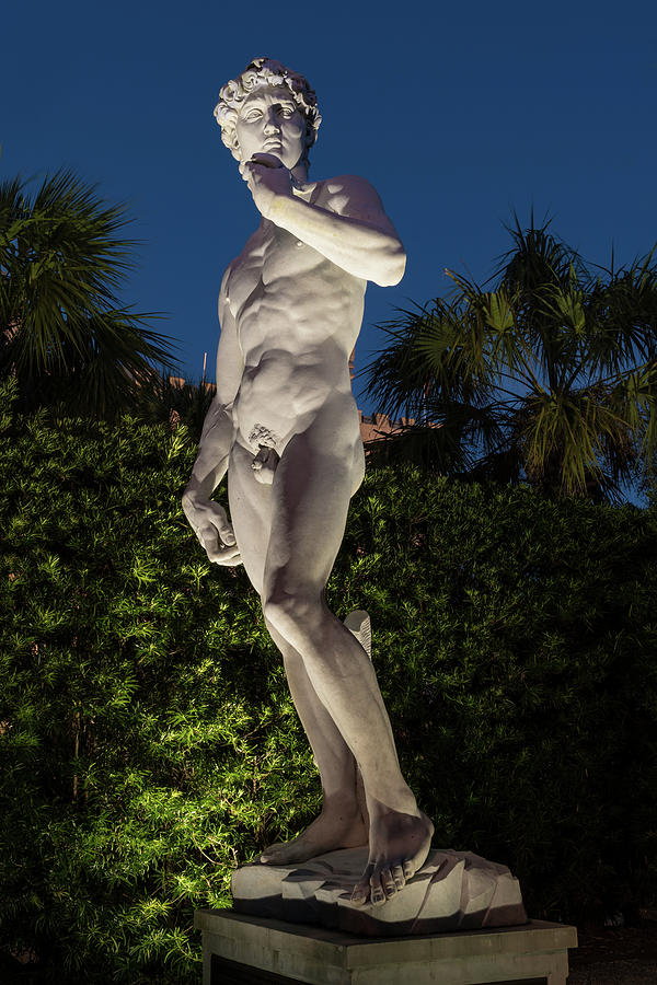 Replica David Statue in All His Glory Photograph by Dawna Moore Photography