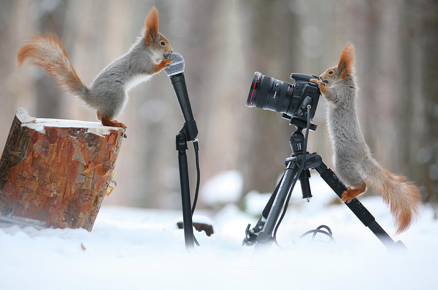 Reportage Photograph by Vadim Trunov - Fine Art America