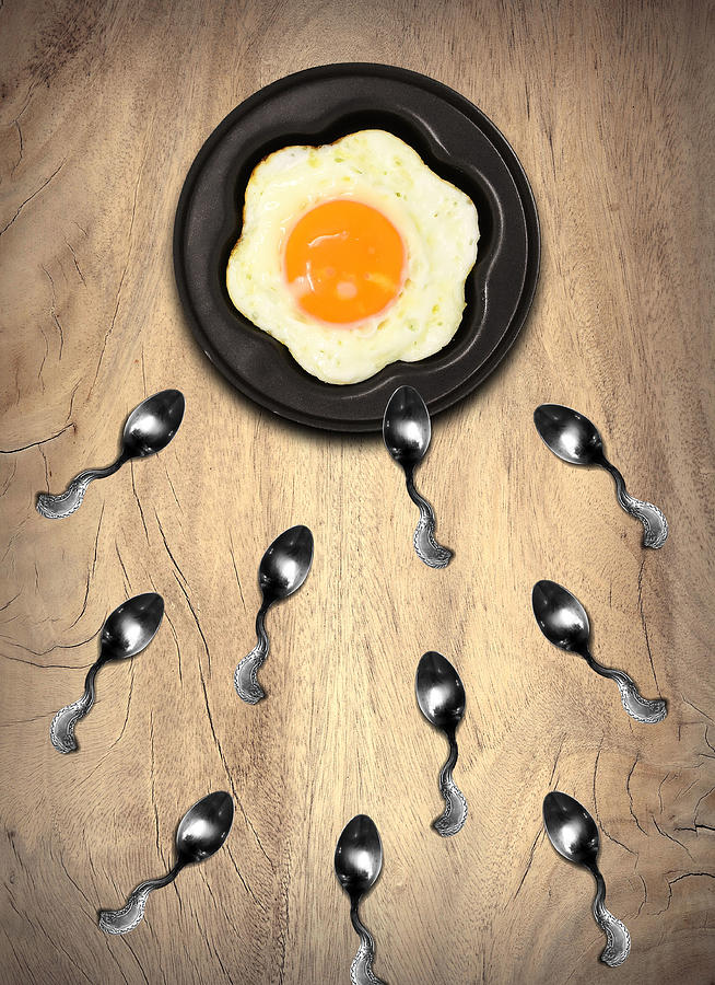 Egg Digital Art - Reproduction by Barroa Artworks